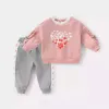 dresses 2pcs Baby Girls Clothing Sets Autumn Winter Toddler Girls Clothes Kids Tracksuit for Girl Suit Children Clothing 1 to 6 Year