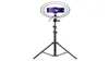 Pographie LED Selfie Ring Light 10inch PO Studio Camera Light avec trépied stand for tik tok vk youtube live vidéo maquillage c1007954733