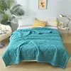 Quilt Baumwolldecke bestickt mit fester Farbbettbedeckung Bettdecke waschbarer Sommer Twin Queen -Bettwäsche Home Textile 240417