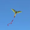 Groene dinosaurus Kite Wing Dragon Triangle Piloot Kite Vliegende ouder Kind Sport Pipa Professionele vliegers Cometa Gigante 240430