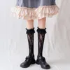 Chaussettes de femmes mignonnes noires en dentelle de lacet lacet lolita pile genou sweet girls dames cosplay costumes accessoires