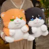 Kawaii grasso gatto peluche giocattolo di peluche cartone animato carino squatt gatto imbalsardi giocattolo animale per bambini che dorme decorazione per bambole decorazione ragazza morbida regalo di compleanno cuscino