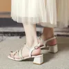 Sandalen 2024 Mode Beige Sommer Frauen Open Toe High Heels Schuhe Ferse Clear Crystal Square Block