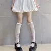 Mulheres meias Hollow out renda babado malha de pesca meias japonês jk lolita joelho de veludo alto arco de cosplay figuraria acessórios