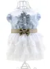 Dog Apparel Light Blue Summer Clothes Pet Denim Dresses For Small Dogs Pomeranian Chihuahua Puppy Skirt Princess Dress