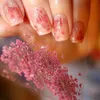 1Box ​​3D Torkad blomma nagel dekoration naturlig blommig klistermärke blandad torr diy färgglada dekaler smycken uv gel polsk manikyr 240430