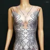 Casual Dresses Women Silver Rhinestones Sleeveless Trailing Long Dress Fashion Stretch Slim Fishtail Birthday Party Evening Stage Costume