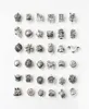 100 Arten Charm 120pcs Lot Authentic 925 Sterling Silbers Charms Perlen passt europäische Ale -Charm -Armbänder 3462751