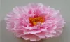 17 cm Big Peony Flowers Head Fiori di seta artificiale 9 Colori FZH0198672055