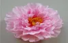17 cm Big Peony Flowers Head Artificial Silk Flowers 9 Colors FZH0199045055