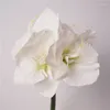 装飾的な花シミュレーション保湿クリビアシルクフラワースプリング装飾ショッピングモールウィンドウディスプレイパーティーステージレイアウト偽の植物