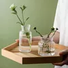 Vazen Vintage Noordse transparant voor plantenfles bloempot hydrocultuur terrarium arrangement container tafel vaasdecoratie