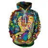 Women's Hoodies Men Women 3D Sweatshirts Wizard Clown Oil Painting Monkey Hooded Graffiti Rasta Elder Sweatshirt