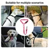 Colliers de chien ceinture de sécurité pour les chiens de sécurité de sécurité des voitures et chats harnais de support portable chat petit