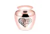 45x70mm Love Angel Wing Cremation Urn for Ashes KeepSake Small Memorial Funeral Urn pour PETSHUMANS4706773