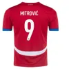 Jersey Cup 2024 Euro piłka nożna Serbia Srbija narodowa drużyna narodowa dom na dniu SergeJ Mitrovic 2010 Retro Football Shirts Kit Vlahovic Pavlovic Tadic Milenkovic Zivkovic