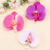 Hair Accessories 3Pcs Elegant Butterfly Orchid Hairpin Girls Hawaii Beach Clip Women Vacation Hairpins Bridal