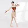 Stage Wear Ballet Rok volwassen vrouwen Middle Mesh Dance Tule Oefening Kleding Chiffon Skirts Flash -paillettenkostuum