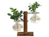 Terrarium Hydroponic Plant Vases Vintage Flower Pot Transparent Vase Vase Frame en bois Verre Plantes Home Bonsai décor2790701