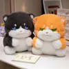 Kawaii grasso gatto peluche giocattolo di peluche cartone animato carino squatt gatto imbalsardi giocattolo animale per bambini che dorme decorazione per bambole decorazione ragazza morbida regalo di compleanno cuscino