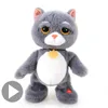 Electric Tabby Cat Toy Dancing and Singing Cat Plug Doll Toy Boy Electronic Animal Cat Birthday GFT Boys and Girls 240428