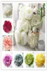 50pcs 16Color 145 cm künstliche Seide Pfingstrose Blumenköpfe DIY Hochzeitsmauerbogen Hintergrund Bouquet Party Dekorative Blumen Festival2762368