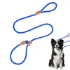 Collari per cani Slip Rope per i guinzagli dei cani addestrando Anti-wear ad alta resistenza 1,5 m accessori piombo intrecciati che camminano