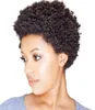 Kurze lockige Afro -Perücke flauschiger Kinky 100 Human Hair Perücken Maschine Made Curl Brazilian Keine Spitzenperücken für schwarze Frauen6927074