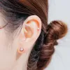 Boucles d'oreilles C00297 Zfsilver S999 Silver Korean Fashion Zircon Plum Blossom Vis de fleur Boule d'oreille Boucle d'oreille pour femmes Match-All-All-All-All
