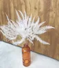 10pcs保存された乾燥ジクラノプテリスシダの葉の葉の葉の花束の花輪飾りガーランド製造材料アクセサリークラフトDIY6711612