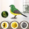 Decoración de aves falsas animales reales decoración al aire libre juguetes para pájaros interactivos pájaros de simulación real haciendo árboles de sonido 240424