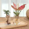 Planteurs Pots Transparent Aquatique Flower Pot Imitation Verre Small Flower Pot Plantation Mini Pot Bureau Verbe Vase Vase Green Vase