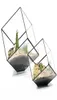 Cubes géométriques Verre Terrarium décor de maison Plant Plante de fleur charnue Vase Vase Pot Y031427069938339831