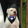 Psa odzież z pensem regulowana klamra garnitur trójkąt szalik ubiór muszki bownot śliniaki