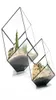 Geometryczne kostki szklane terrarium wystrój domu roślina mięsisty uchwyt na wazon garnc