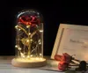 Goldplated Red Rose com luz LED na cúpula de vidro para festa de casamento Mother039s Day Gift4253854