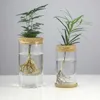 Pflanzer Töpfe Mini Hydroponic Blumentopf Glas Pflanze Vase transparent Terrarium Glasschalte Pflanzen Töpfe Vintage Home Wohnzimmerdekoration