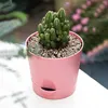 Planters potten zelf-waterige bloempot met lade zaailing pot vetplanten bloemenpot kantoor bureaubladdecor mini plantenbakken huizen tuindecoratie