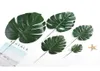 Foglie di tartaruga per piante tropicali artificiali decorazioni per giardini interni piante da esterno decorazioni per ufficio casa verde 5 style3348466