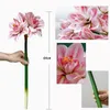 Dekorative Blumen 2pcs künstlich amaryllis stamm echte teile große tropische clivia für vase arrangements home office dekor