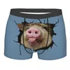 Sous-pants Cool Funny Pig Mnout Boxer Shorts Planchettes Men's confortable Animal Briefes de nez sous-vêtements