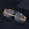 Sunglasses Fashion Metal Leopard Rimless Double Bridges Gradient Shades UV400 Punk Glasses