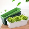 Planters potten familie balkon groenten planten groeven met bak huishouden raam frame plantenbak plastic rechthoekige bloem plantplantening potten