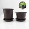 Planteurs Pots de haute qualité 15 cm Pottoir de jardin en plastique pour plantes succulentes herbes et bonsaï avec plateau - outil de jardinage à la maison essentiel D4