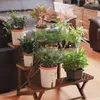 Sadzarki garnki leniwe hydroponiczne kwiaty garnek Absorbing Flowerpot Suwolent Plant Plast Plastikowe podlewanie sadzarki Dekorator salonu