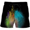 Shorts maschile 2024 Swimwear Swimwear Surf Surf Pantaloni 3D Quick Dry the Color Run Stamping Topche surfing