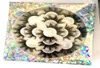 7 Paare 3D Faux Mink Wimpern Lotusplatte geteilt dicke natürliche falsche Wimpern Volumen gefälschte Wimpern Make -up -Verlängerung3565654