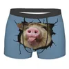 Külot moda komik domuz burun boksörleri şort külot erkek streç hayvan snout brifs iç çamaşırı