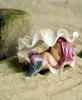 Europa Mini Animali creativi Mini Mermaid Dish Home Micro Fairy Garden Figurine in miniatura Accessori fai -da -te serbatoi di pesce 2106077836543