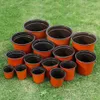 Planters potten 10 stks mini kleine bloempot met gaten kweek doos herfstbestendige lade voor huizentuinplant kinderkamer pot groenten transplantatie